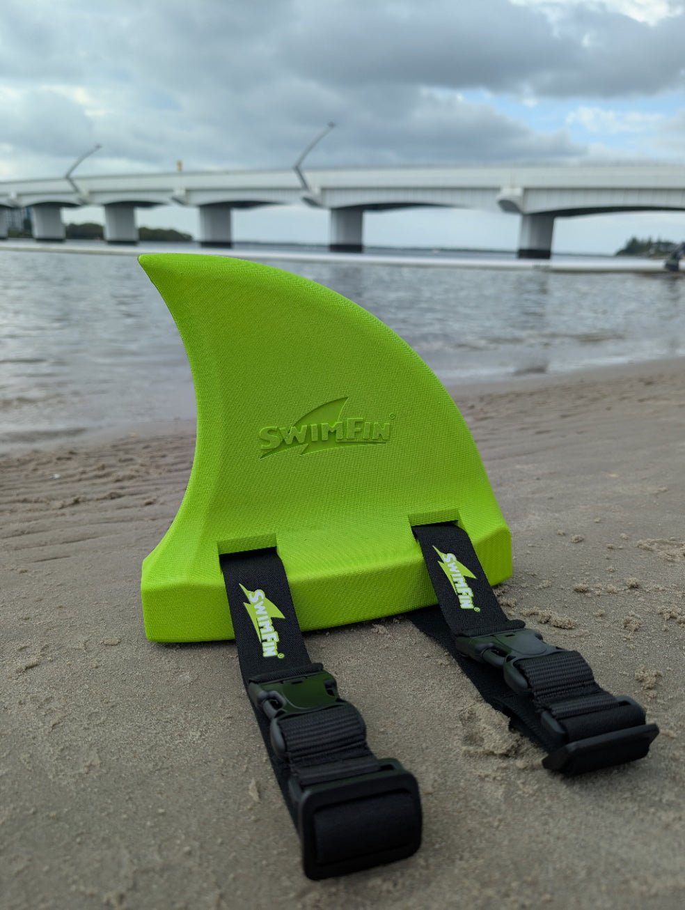 SwimFin